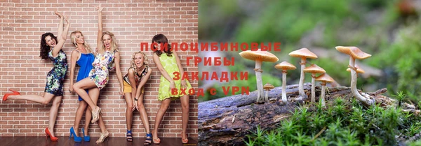 прущие крисы Горно-Алтайск