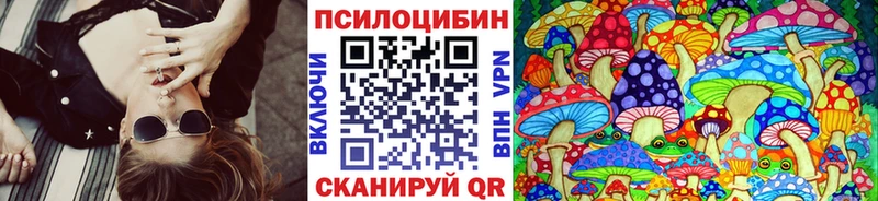 площадка как зайти закладка Карачаевск Галлюциногенные грибы MAGIC MUSHROOMS